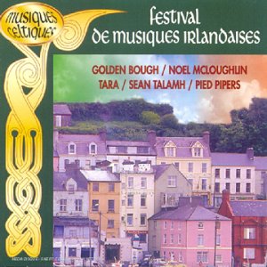 【中古】【非常に良い】Festival De Musiques Irlandais p706p5g
