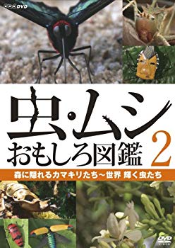 【中古】虫・ムシ おもしろ図鑑 2 森に隠れるカマキリたち~世界 輝く虫たち [DVD] 6g7v4d0