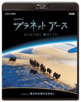 未使用、未開封品ですが弊社で一般の方から買取しました中古品です。一点物で売り切れ終了です。(中古品)NHKスペシャル プラネットアース Episode 4 「乾きの大地を生きぬく」 [Blu-ray]【メーカー名】ジェネオン エンタテインメント【メーカー型番】【ブランド名】【商品説明】NHKスペシャル プラネットアース Episode 4 「乾きの大地を生きぬく」 [Blu-ray]当店では初期不良に限り、商品到着から7日間は返品を受付けております。お客様都合での返品はお受けしておりませんのでご了承ください。他モールとの併売品の為、売り切れの場合はご連絡させて頂きます。当店の・品は、お客様から買い取りました中古扱い品です。ご注文からお届けまで1、ご注文⇒ご注文は24時間受け付けております。2、注文確認⇒ご注文後、当店から注文確認メールを送信します。3、在庫確認⇒お届けまで3日〜10日程度とお考え下さい。海外在庫は10日〜2週間の見込みです。4、入金確認⇒前払い決済をご選択の場合、ご入金確認後、配送手配を致します。5、出荷⇒配送準備が整い次第、出荷致します。配送業者、追跡番号等の詳細をメール送信致します。6、到着⇒出荷後、1〜3日後に商品が到着します。　※離島、北海道、九州、沖縄は遅れる場合がございます。予めご了承下さい。