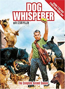 【中古】Dog Whisperer With Cesar Millan: Comp Second [DVD] [Import] bme6fzu