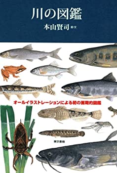 樂天商城 - 【中古】川の図鑑
