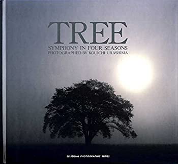 【中古】TREE—SYMPHONY IN FOUR SEASONS (青菁社フォトグラフィックシリーズ)