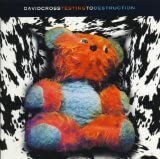 Testing to Destruction 破滅への試行 