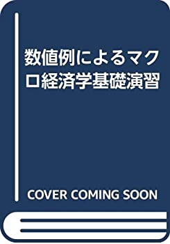 【中古】数値例によるマクロ経済学基礎演習