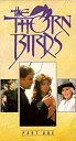 yÁz(gpEJi)Thorn Birds 1 [VHS]