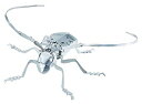 【中古】メタルキット ゴマダラカミキリムシ 増補改訂版