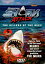 shark attackの画像