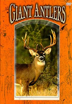 【中古】Giant Antlers [DVD]