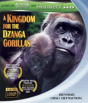 š(̤ѡ̤)Kingdom for the Dzanga Gorillas [Blu-ray]