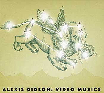 (未使用・未開封品)Video Musics 