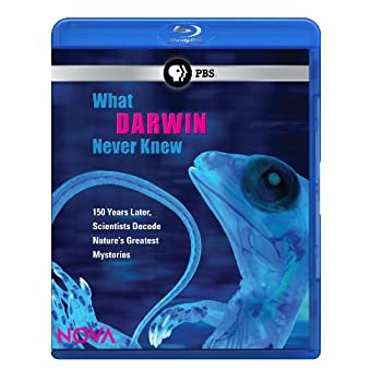 【中古】Nova: What Darwin Never Knew [Blu-ray]