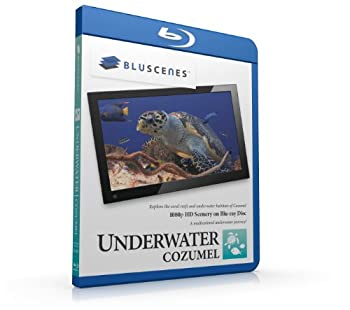 (未使用・未開封品)Underwater Cozumel 