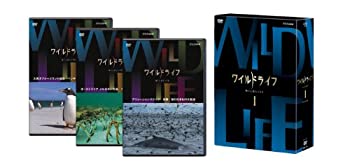 樂天商城 - 【中古】(未使用・未開封品)ワイルドライフ DVD-BOXI
