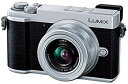【中古】パナソニック ミラーレス一眼カメラ ルミックス GX7MK3 標準ズームレンズキット シルバー DC-GX7MK3K-S(2)