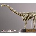 【中古】カプセルQミュージアム 恐竜発掘記6 恐竜全身骨格展示室 ［5.ディプロドクス(ナチュラルカラー)］(単品)