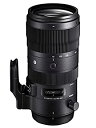 yÁzSIGMA 70-200mm F2.8 DG OS HSM | Sports S018 | Nikon F}Eg | Full-Size/Large-Format