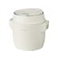 šۥ쥳 ѥ 饤å RCR-1 recolte Compact Rice Cooker (ۥ磻)