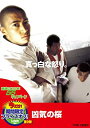 【中古】【非常に良い】凶気の桜【DVD】(2)