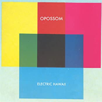 【中古】Electric Hawaii [CD]【メーカー名】0【メーカー型番】0【ブランド名】Opossom【商品説明】Electric Hawaii [CD]当店では初期不良に限り、商品到着から7日間は返品を 受付けております。他モールとの併売品の為、完売の際はご連絡致しますのでご了承ください。中古品の商品タイトルに「限定」「初回」「保証」「DLコード」などの表記がありましても、特典・付属品・帯・保証等は付いておりません。品名に【import】【輸入】【北米】【海外】等の国内商品でないと把握できる表記商品について国内のDVDプレイヤー、ゲーム機で稼働しない場合がございます。予めご了承の上、購入ください。掲載と付属品が異なる場合は確認のご連絡をさせていただきます。ご注文からお届けまで1、ご注文⇒ご注文は24時間受け付けております。2、注文確認⇒ご注文後、当店から注文確認メールを送信します。3、お届けまで3〜10営業日程度とお考えください。4、入金確認⇒前払い決済をご選択の場合、ご入金確認後、配送手配を致します。5、出荷⇒配送準備が整い次第、出荷致します。配送業者、追跡番号等の詳細をメール送信致します。6、到着⇒出荷後、1〜3日後に商品が到着します。　※離島、北海道、九州、沖縄は遅れる場合がございます。予めご了承下さい。お電話でのお問合せは少人数で運営の為受け付けておりませんので、メールにてお問合せお願い致します。営業時間　月〜金　11:00〜17:00お客様都合によるご注文後のキャンセル・返品はお受けしておりませんのでご了承ください。ご来店ありがとうございます。