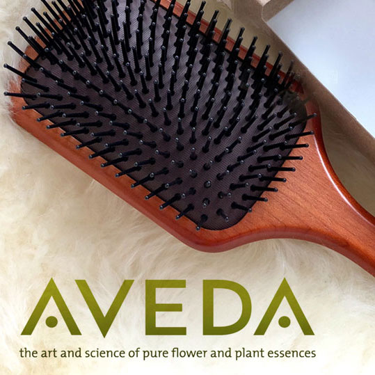 AVEDA アヴェダ 通常サイズ　パドル