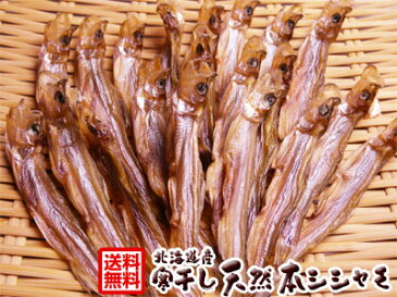 北海道産本物天然シシャモ寒干し珍味48g【送料無料】コチラの商品はメール便でお届けいたします！同梱、代金引換、お届け日時の指定は出来ません。※在庫が途中でなくなることがありますので、その場合は、なにとぞ、ご容赦ください