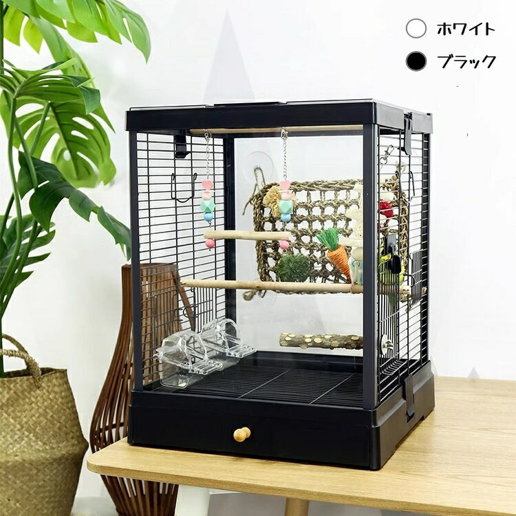 鳥かご　バードケージ　観賞　透明