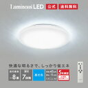 【公式通販】＜5年保証＞ Luminous ( ルミナス ) LED シーリングライト 8畳用 RT45-X08DX｜3800ルーメン 調光7段階 昼光色 常夜灯 節電 簡単取付 リモコン付き おやすみタイマー メモリ機能 天井照明 ドウシシャ