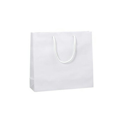 シモジマ HEIKO ブライトバッグ GM(シロ)