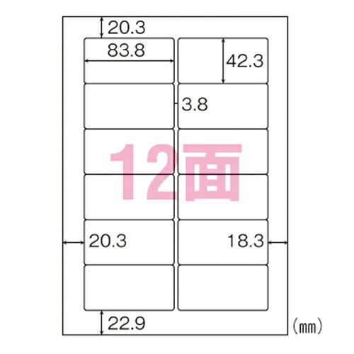 ヒサゴ　エコノミー再生紙ラベル　100枚入　規格：A4判12面