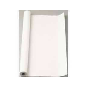 マルアイ　マス目模造紙　模造紙　B紙　自由研究　紙　図表　ポスター　30m　ロールタイプ（白）