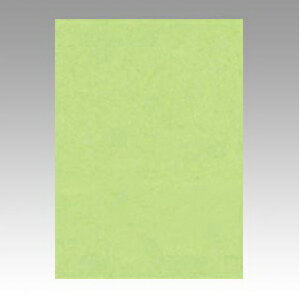 ●鮮やかな色画用紙です。●全判サイズの10枚巻き。●入数：10枚●全判●横788×縦1091mm●JANコード：4902681812438※商品コード：71995（1）文運堂　ニューカラーR　全判（くろ）（2）文運堂　ニューカラーR　全判（ゆき）（3）文運堂　ニューカラーR　全判（ちゃいろ）（4）文運堂　ニューカラーR　全判（レモン）（5）文運堂　ニューカラーR　全判（だいだい）