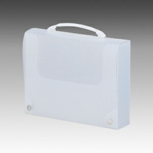 リヒトラブ キャリングバッグ A4判（乳白）