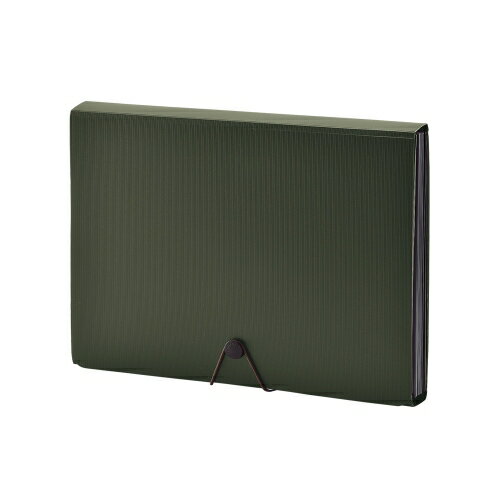 リヒトラブ SMART FIT ドキュメントファイル A4判 13ポケット（オリーブ）