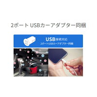 代引不可シャーププラズマクラスターイオン発生機車載用イオン発生機(レッド系)