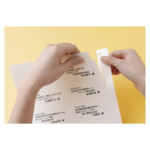 �ҥ��� FSC[R]����ǧ�ڻ��٥�A4���å������� A4Ƚ 100���� ����:A4Ƚ60��