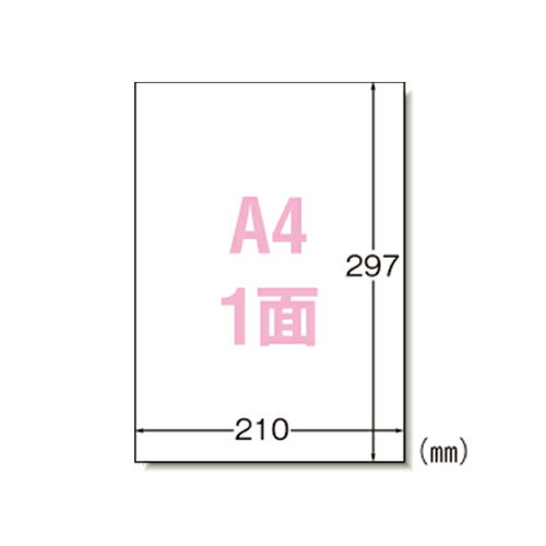 エーワン　ラベルシール〈プリンタ兼用〉　マット紙　ノーカットタイプ　規格：A4判1面