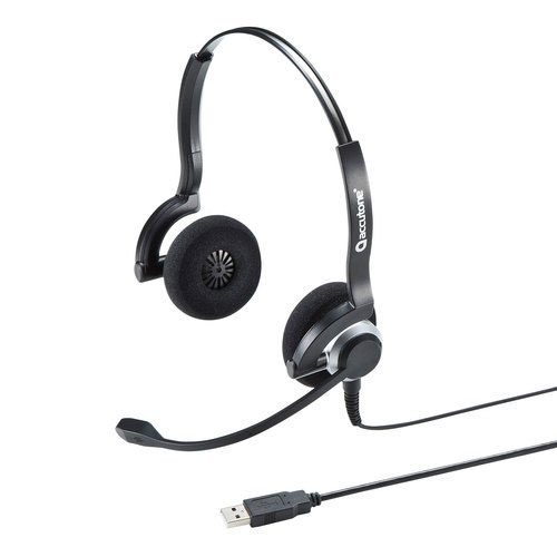BluetoothヘッドセットLBT-HS21MPBK
