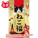 ペットライン　ねこ福　ビーフ仕立て　42g　（3g×14袋）　ペット用品