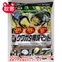 ●予告なくパッケージや仕様が変更される場合がございます。●取寄せ商品となるため、下記ご留意ください。・納期に関しましてはカスタマーセンタよりご連絡いたします。・メーカー欠品時はお待ちいただくこともございます。・メーカー廃番となる場合がござい...