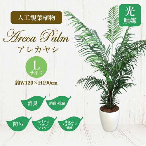 ササガワメーカー直送品人工観葉植物アレカヤシLサイズ高さ190cmフェイクグリーン造花