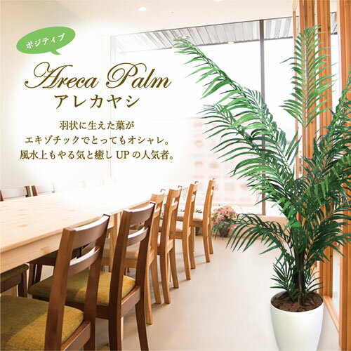 ササガワメーカー直送品人工観葉植物アレカヤシLサイズ高さ190cmフェイクグリーン造花