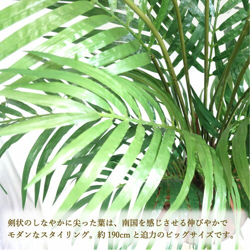ササガワメーカー直送品人工観葉植物アレカヤシLサイズ高さ190cmフェイクグリーン造花