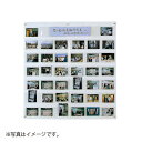 共栄プラスチック 写真展示ホルダー 38ポケット(クリア)(3)