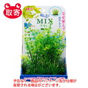 ジェックス　GEX　癒し水景　MIXプランツL　ペット用品　水槽用品　観賞魚用品　アンブリア