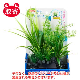 ジェックス　GEX　癒し水景　MIXプランツ　ミニアーチ　ペット用品　水槽用品　観賞魚用品　ミリオフィラム