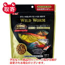 ジェックス　GEX　ワイルドワーム　ペット用品　水槽用品　観賞魚用品