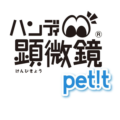 レイメイ藤井 ハンディ顕微鏡petit 20倍 携帯型顕微鏡 自由研究 課題 理化 子供 学生 コンパクト（ブルー）