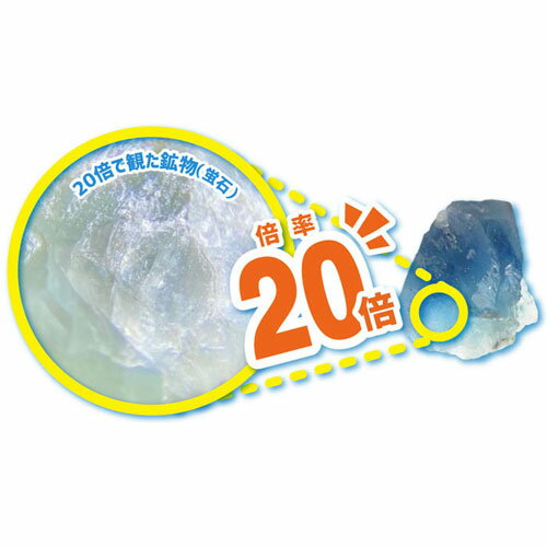 レイメイ藤井 ハンディ顕微鏡petit 20倍 携帯型顕微鏡 自由研究 課題 理化 子供 学生 コンパクト（ブルー）