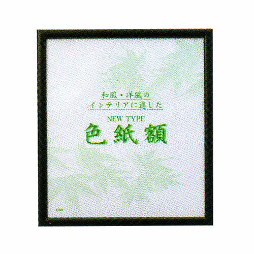 サクラクレパス ニュータイプ色紙額 色紙判（緑）