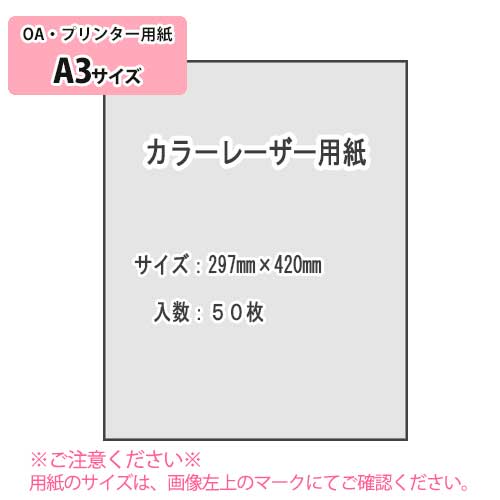 SAKAE TP 顼졼ѻ 100g/m2 A3 50